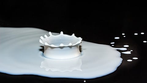 Next Generation of Dairy Leaders: The dairy sector is a pillar of the global economy, and in the United States alone [Pixabay]