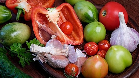 As scientists seek to unravel the intricate potential connections between nutrition and the aging brain, a new study from researchers [Pixabay]