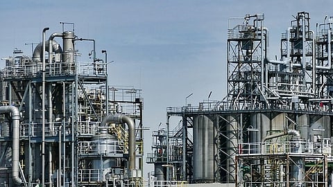 Chemical Factories: A new study led by researchers at Washington University in St. Louis and the Missouri Botanical Garden has uncovered a surprising layer of diversity in tropical forests. [Pixabay]