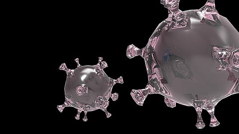 High-Precision Immunotherapy: “This story goes back nearly 20 years,” says Prof. Paul François, by way of introduction. [Pixabay]