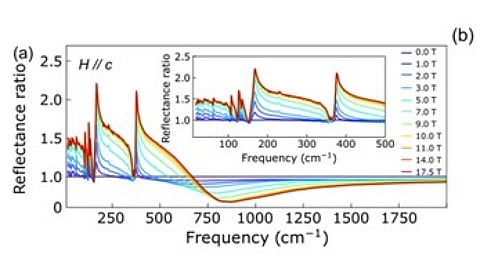 Semiconductor: Scientists recently discovered that Mn3Si2Te6 changes from an insulator to an electrically conductive metal when exposed to a magnetic field. [Newswise]