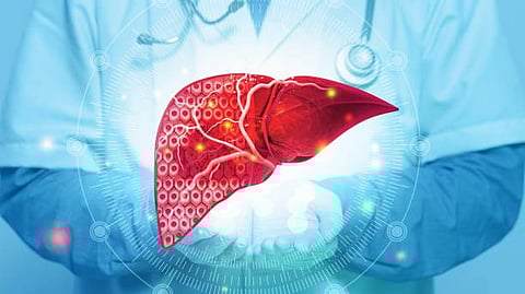 Illustration of a human liver with veins and cells highlighted on a medical background.