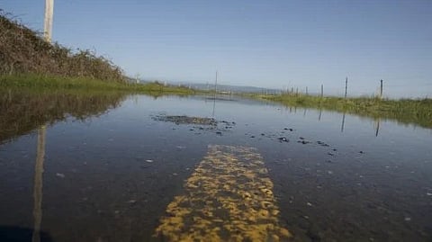 Flood Risk: The next great earthquake isn’t the only threat to the Pacific Northwest. [Newswise]