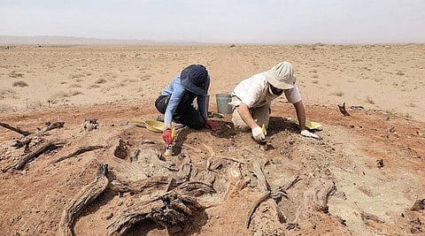 Mysterious Gobi Wall: A new study led by Professor Gideon Shelach-Lavi and Mr. Dan Golan, archaeologists from the Department of Asia Studies at the Hebrew University of Jerusalem. [AlphaGalileo]