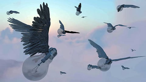 climate change: As rising global temperatures alter ecosystems worldwide, animal species usually have two choices [Pixabay]