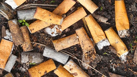cigarette butts: Carbon-based low-dimensional materials (CLDM) with elemental carbon as the main component have unique physical and chemical properties [Pixabay]