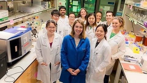 Boost Plant Growth: Within the animal kingdom, a naturally produced molecule known as itaconate serves a prominent role in the immune system [Newswise]