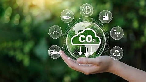 CO2 to Protein: As global protein demand surges, researchers are turning to single-cell protein (SCP) from yeast as a sustainable alternative. [Pixabay]