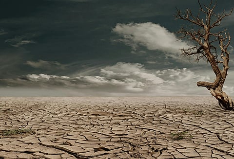 With four areas of the UK now facing drought conditions