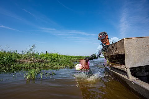 Texas aquaculture remains strong, with significant growth occurring over the last five years.