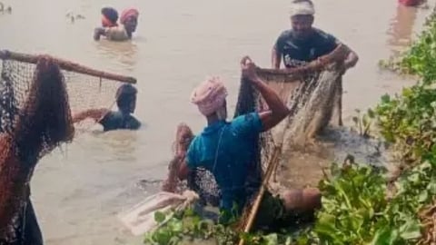 Fishes from water bodies