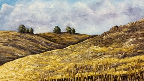 Painting of grasslands by Vida Rabbani.