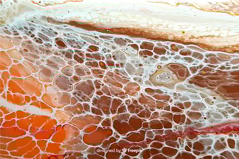 Skin cells