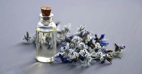 In a world that sometimes develops a fine aroma, the Hayati stands as a beacon of sophistication