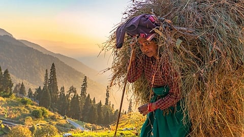 Tough life: The plight of women in Uttarakhand hills is marked by overdependence on low-income agriculture, limited formal employment opportunities, and limited access to financial resources.