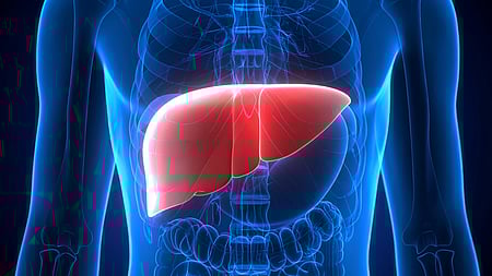 New blood test to predict risk of liver cirrhosis, cancer within 10 years