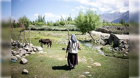 Life in these windswept highlands is harsh. With little water and no nearby medical centres, women remain trapped in recurring reproductive health problems.

