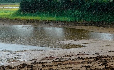 Representational image of heavy rainfall 