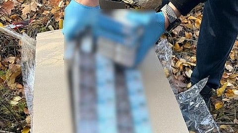 A cardboard box is opened in a forest, surrounded by autumn leaves. Gloved hands examine the contents. The scene suggests investigation or discovery.