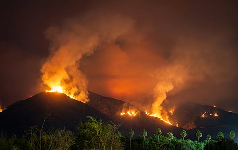 Wildfire on a mountainside at night, with intense orange flames and smoke against a dark sky. Palm trees in the foreground create a dramatic contrast.