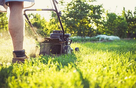 A person in shorts and boots pushes a lawnmower on lush green grass under the warm sunlight. Trees and foliage in the background create a serene summertime atmosphere.