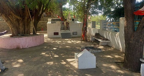 A temple courtyard, where a banyan treeis growing.