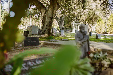 Sunlit cemetery with various gravestones and a large tree. A blurred statue in the foreground adds depth.