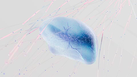 Abstract image of a translucent, blue-tinted brain surrounded by floating pink and blue strands against a light gray background, conveying a futuristic and ethereal mood.