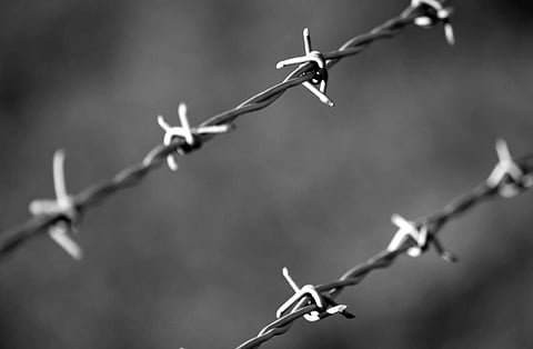 Close-up of two intersecting barbed wire strands in black and white. The background is blurred, emphasizing the sharp, twisted metal. Conveys a sense of confinement.