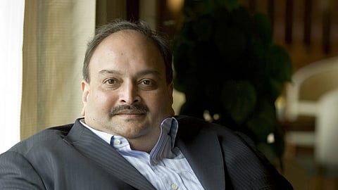 A close up of Mehul Choksi in a shirt and suit, with a plant in the background.