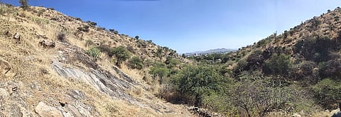 A valley between two Aravalli hills, covered in shrubbery.