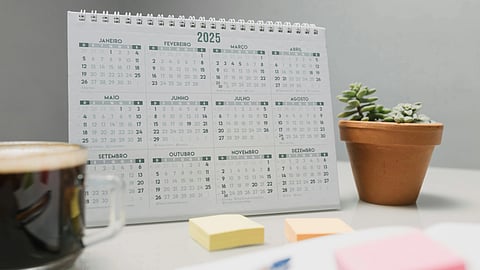 Calendar for 2025 on a desk with a potted succulent, a cup of coffee, and colorful sticky notes, conveying a neat and organized workspace.
