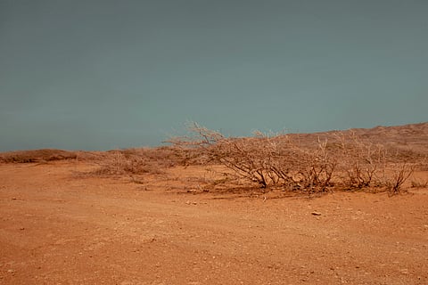 A barren desert landscape with sparse, dry bushes on reddish-brown sand under a muted blue sky, conveying a sense of desolation and tranquility.