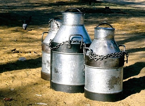 3 milk cannisters lying on the road.