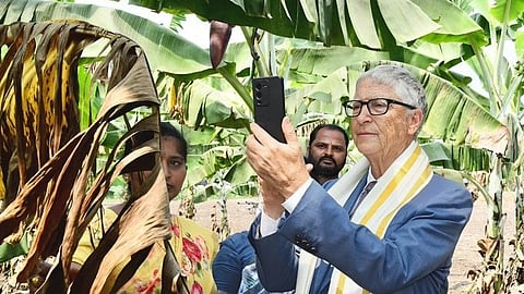 Bill Gates in a suit and traditional scarf takes a photo with a smartphone in a banana plantation, accompanied by two people, conveying curiosity and engagement.