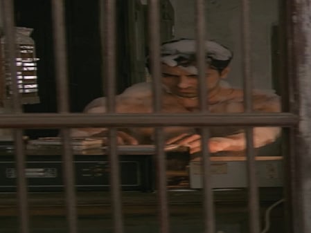 दम लगा के हईशा