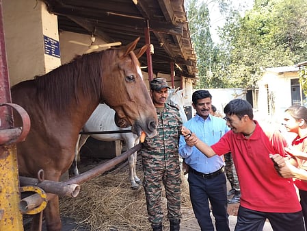 MP: Specially-abled students from Army school have fun outing with military horses​ (Photo: MoD)