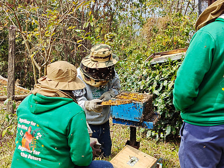 Manipur: Over 100 farmers get training to ramp up honey production in Tamenglong​ (Photo: IANS)