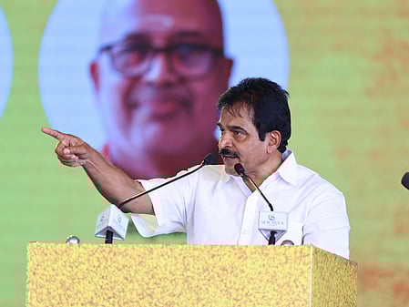 Cat is out of the bag