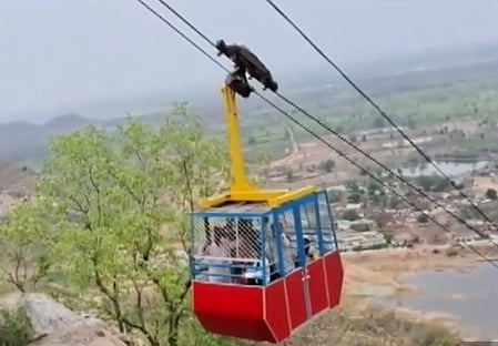 Six devotees injured as Khallari temple ropeway snaps midway in Chhattisgarh