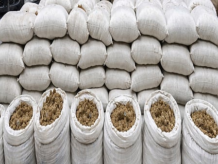 Major drug haul in Rajasthan after encounter; properties of smugglers attached