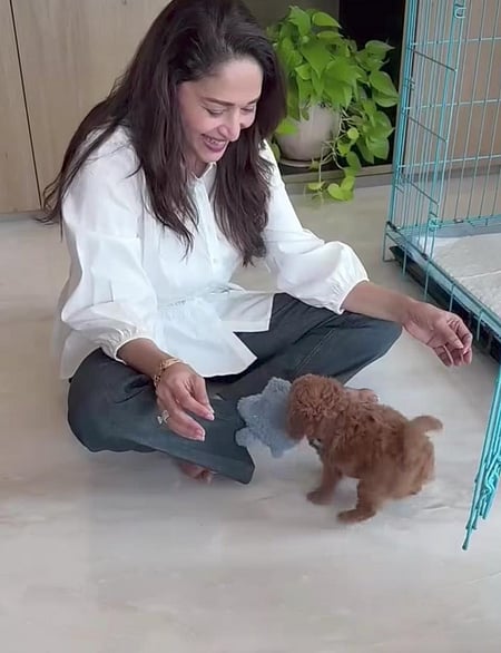 Madhuri Dixit shares a cute video of her playtime with her tiny pup, calls it a ‘gem in her archives’
