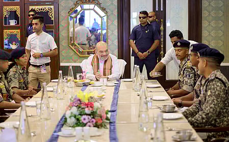 Naxal insurgency hit hard: 256 Maoists killed, 1562 surrendered​ in 2025 (Photo: IANS)