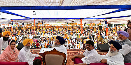 AAP in Punjab forcing farmers to commit suicide in despair, says Sukhbir Badal