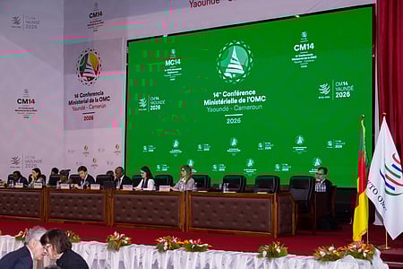 WTO ministerial conference sets course for further discussions ahead