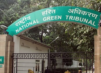 NGT issues notices over alleged destruction of 70,000 trees in Ghaziabad city forest