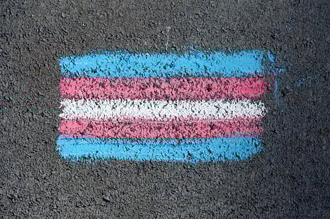Transgender pride flag in chalk on asphalt, featuring horizontal stripes of blue, pink, white, pink, and blue. The texture is rough and gritty.