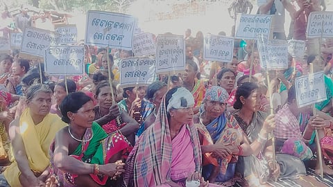 tribal women sitting in protest in Sijimali holding up posters