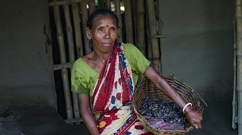 A woman in a colorful saree holds a basket of fish. She stands in a rustic setting with bamboo walls, exuding a sense of resilience and determination.