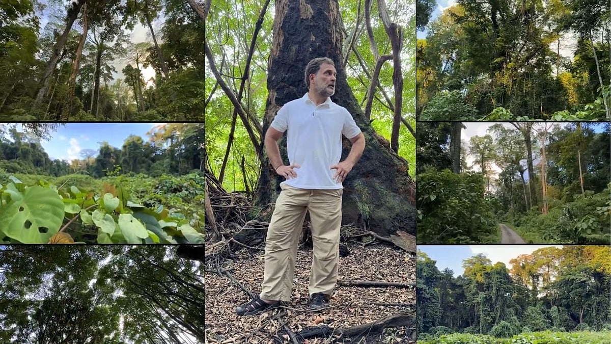 Rahul Gandhi Flags Great Nicobar Connectivity Project As ‘Destruction Dressed As Development' During Island Visit